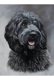 Norimpex Diamentowa mozaika - Pies czarny Cockapoo 40x30cm