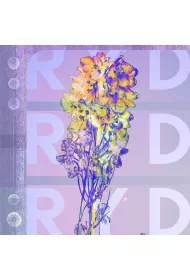 RYD (CD)