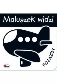 Maluszek widzi pojazdy
