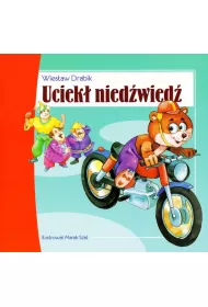 Uciek� nied�wied�