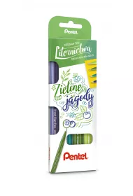 Pentel Zestaw pisak�w do kaligrafii 4 szt.