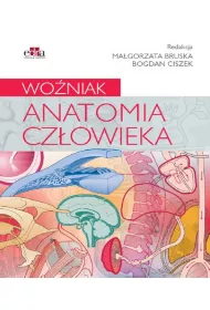 Anatomia cz�owieka. Wo�niak