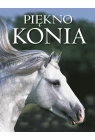 Pi�kno konia