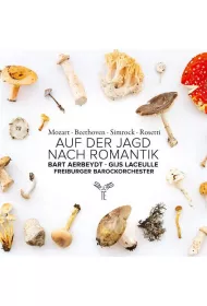 Auf Der Jagd Nach Romantik (CD)
