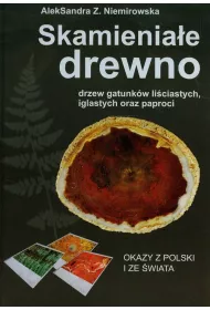 Skamienia�e drewno drzew gatunk�w li�ciastych, iglastych oraz paproci. Okazy z Polski i ze �wiata