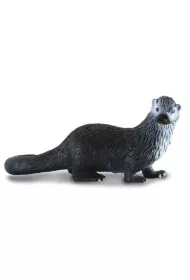 COLLECTA WYDRA ROZMIAR M BPZ-COLLECTA