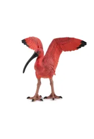 Ibis szkar�atny