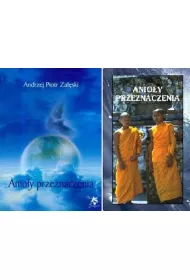 Zestaw Anio�y Przeznaczenia - ksi��ka i karty