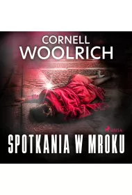 Audiobook Spotkania w mroku mp3