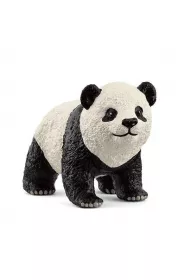 M�oda Panda Wielka
