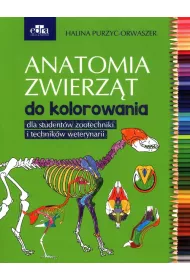 Anatomia zwierzt do kolorowania
