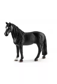 Wa�ach rasy Tennessee Walker