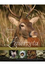 Zwierz�ta w obiektywie le�nik�w