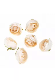 Dalprint G��wki kwiatowe piwonii ecru 6 szt.