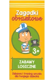 Zabawy logiczne zagadki obrazkowe Kapitan Nauka