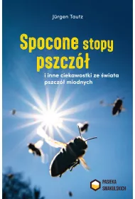 Spocone stopy pszcz� i inne ciekawostki ze �wiata pszcz� miodnych