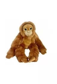 Orangutan big eyes 50cm Dubi