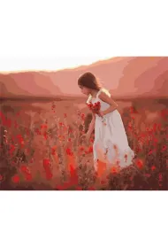 Twoje Hobby Malowanie po numerach - Szkar�atne kwiaty 40x50cm