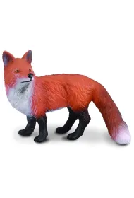 Lis pospolity