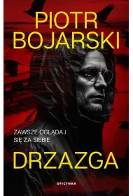 Drzazga