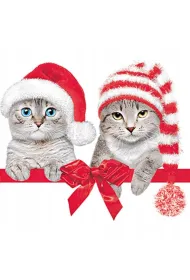 Serwetki Lunch Maki BN - Lovely Cats in Christmas Hats SLGW026201 20 szt.
