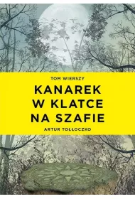 Kanarek w klatce na szafie