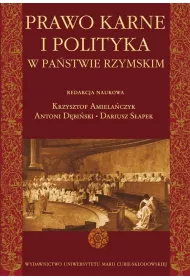 eBook Prawo karne i polityka w pastwie rzymskim pdf
