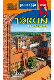 Toru. Multiprzewodnik