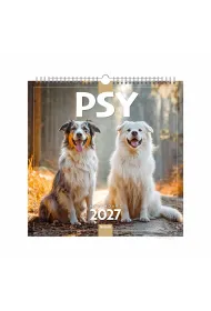 Sezonaa KALENDARZ 6 PLANSZ 33X33 PSY 2027