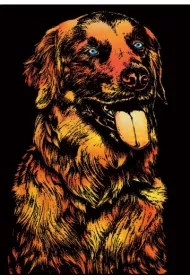 Twoje Hobby Dog. Magiczna zdrapka - wydrapywanka 40.0 x 28.5 cm