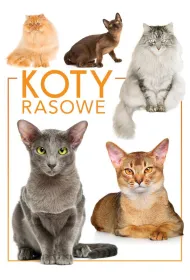 Koty rasowe