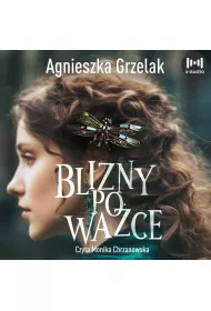 Audiobook Blizny po wace mp3