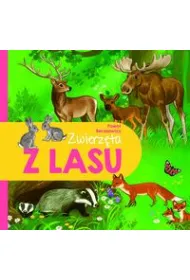 Zwierz�ta z lasu