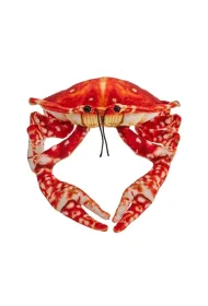 Krab pomara�czowy 26cm Beppe