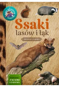 Ssaki las�w i ��k m�ody obserwator przyrody