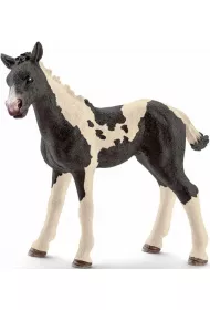 �rebi� Pinto