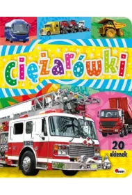 Ci�ar�wki 20 okienek/awm/2015