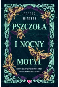 eBook Pszczoa i nocny motyl. Destini Chronicles. Tom 1 mobi epub