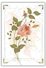 DaVinci Karnet 12x18cm + koperta R�a