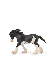 Ogier Clydesdale ma�ci Black Sabino