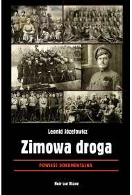 Zimowa droga