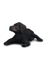 Pies labrador szcz�ni�