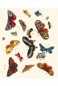 Museums & Galleries Karnet z kopert� Butterfly design decorati
