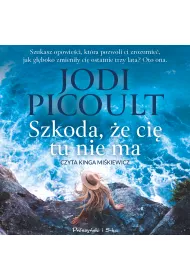 Audiobook Szkoda, e ci tu nie ma mp3