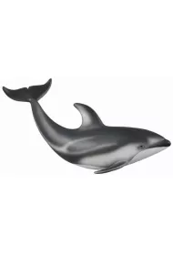 Delfin Pacyfic