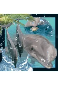 Worth Keeping Magnes 3D Delfin