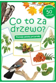 Kolekcja 50 naklejek. Co to za drzewo?