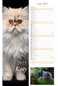 Kalendarz 2025 paskowy koty