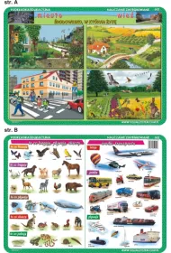 Visual System Podk�adka edukacyjna. Miasto i wie�, �rodki transportu