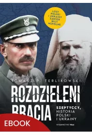 eBook Rozdzieleni bracia mobi